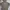 The North Face Gorpcore Track Jacket Pria Brown