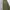 Uniqlo Casual Windbreaker Wanita green photo 7