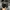 Skater Casual Hat Pria black photo 3