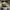 New Era Casual Hat Pria gray photo 4