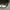 New Era Casual Hat Pria gray photo 7