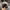 New Era Casual Hat Pria gray photo 3