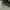 New Era Casual Hat Pria gray photo 6