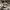 New Era Casual Hat Pria gray photo 1