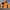 Feltics Streetwear Gorpcore Puffer jacket Pria black orange photo 2