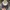 Casual Hat Pria white photo 6