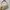 Guess Vintage Y2K Shoulder Bag Wanita Tan Cream