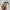 Guess Vintage Y2K Shoulder bag Wanita tan cream photo 3