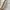Guess Vintage Y2K Shoulder bag Wanita tan cream photo 2