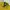 Vintage Harrington jacket Pria yellow photo 4