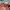 Oakley Streetwear Y2K Sunglass Pria red photo 5