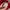 Adidas Sportswear Casual Jersey Pria red photo 4