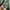 Vintage Harrington jacket Pria green photo 5