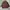 Japanese brand Vintage Casual Parka Pria brown photo 1