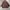 Japanese brand Vintage Casual Parka Pria brown photo 5