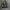 Japanese brand Y2K Luxury Tote bag Wanita tan photo 8