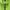 Umbro Streetwear Sportswear Windbreaker Pria green black photo 3