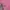 Fred Perry Streetwear Polo shirt Pria pink photo 4