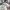 ZARA Streetwear Minimalist Sweatshirt Wanita white photo 6