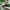 Puma Casual Sneakers Wanita green pink photo 7
