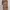 Casual Maxi Dress Wanita Brown