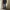 Japanese brand Streetwear Jeans Pria multicolor photo 7