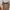 Shein Luxury Wanita brown photo 4