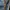 Levi's Streetwear Casual Jeans Pria multicolor photo 4