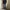 Levi's Streetwear Casual Jeans Pria multicolor photo 7