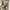 Minimalist Bodycon dress Wanita tan photo 4