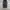 Dickies Vintage Y2K Jeans Pria black gray photo 1