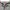 Nike Streetwear Y2K Hoody Pria gray photo 2