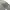 Thom Browne Luxury Hoody Pria gray photo 4