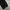 Dickies Vintage Y2K Jeans Pria black photo 5