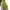 Polo Ralph Lauren Sportswear Casual T-shirt Wanita green yellow photo 3