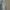 Piko Sports Vintage Y2K T-shirt Pria tan gray photo 4