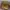MCM Luxury Bag Pria tan brown photo 8