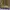 MCM Luxury Bag Pria tan brown photo 7