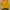 Nike Vintage Sportswear Track jacket Pria green yellow photo 2