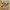 New Balance Streetwear Sportswear Sneakers Pria gold silver photo 3