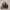Dr. Martens Minimalist Casual Boots Pria burgundy photo 1