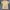 Nike Sportswear Jersey Pria multicolor gold photo 3
