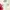 Luxury Wanita cream photo 2