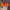 Vintage Y2K Hat Pria orange photo 7