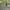 Minimalist Wanita green photo 1