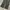 Casual Formal pants Pria gray photo 5