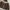 Badboy Gorpcore Puffer jacket Pria brown photo 5