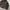 Gorpcore Puffer jacket Pria brown photo 5