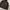 Gorpcore Puffer jacket Pria brown photo 5