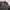 Gorpcore Puffer jacket Pria burgundy black photo 5